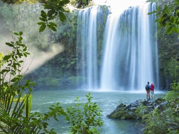 Whangarei Falls