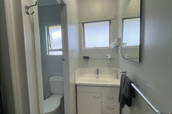 Superior 1-Bedroom Units bathroom